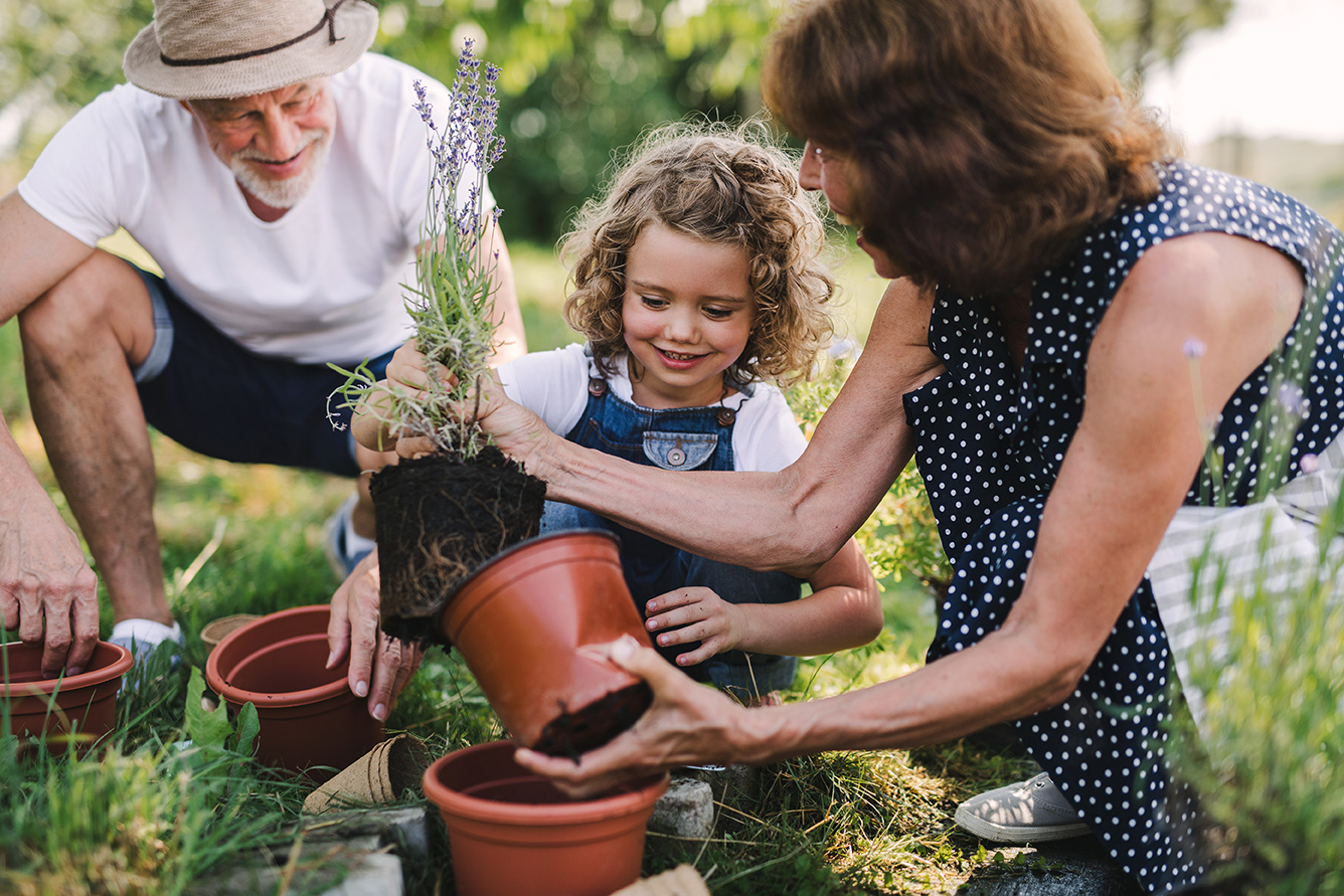 Estate Planning Services | Northcoast Wealth Management MI